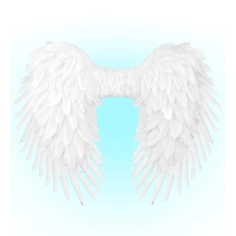 Aripi inger pene albe - imagine 9